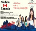 Best Immigration Consultant In Mohali